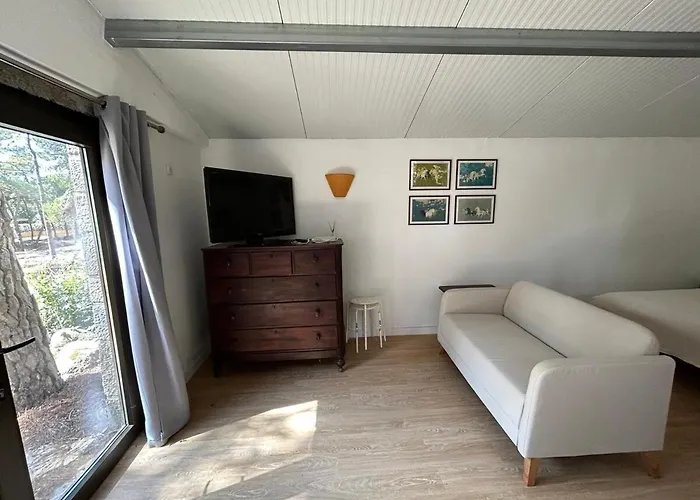 Refúgio Da âncora Colares